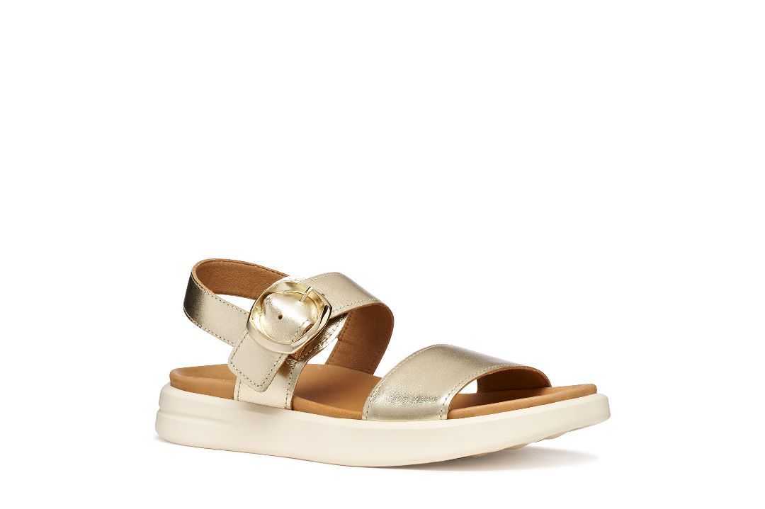 GEOX # D65PAA OR GEOX # D65PAA OR