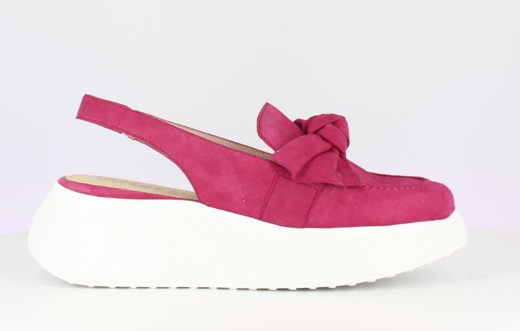 WONDERS # A3603F FUSHIA