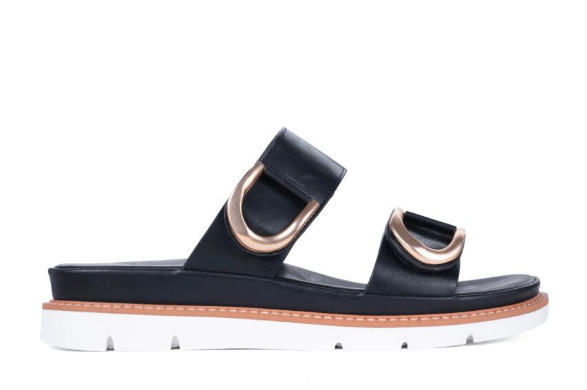 LOS CABOS # SAN NOIR